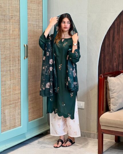 PREMIUM RAYON PAKISTANI SET